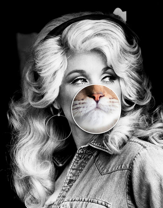 050 - Dolly Purrton by Matt McCarthy